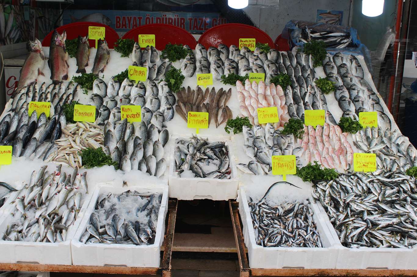 Salgın balık fiyatlarını da etkiledi